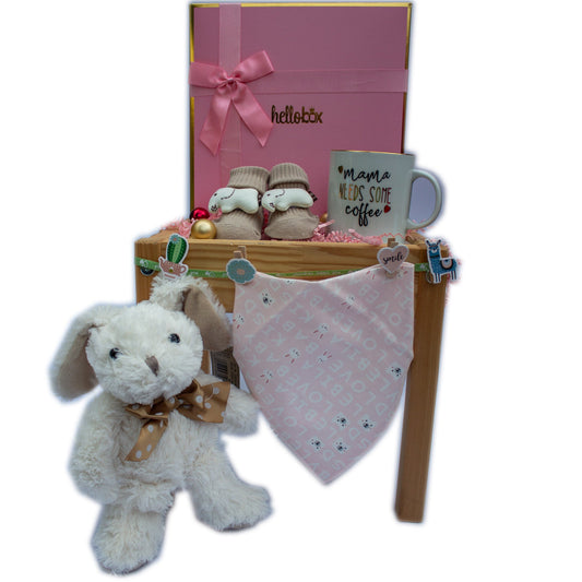 Baby Gift for Newborn Girl -BABY GIFT BASKET | LITTLE PRINCESS-0