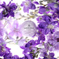 Lavender Dream Gift Set-3